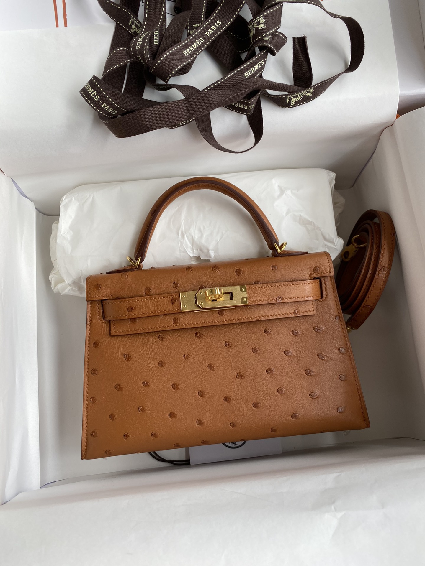 Hermes Kelly Mini II Bag 19CM In Brown Ostrich Leather